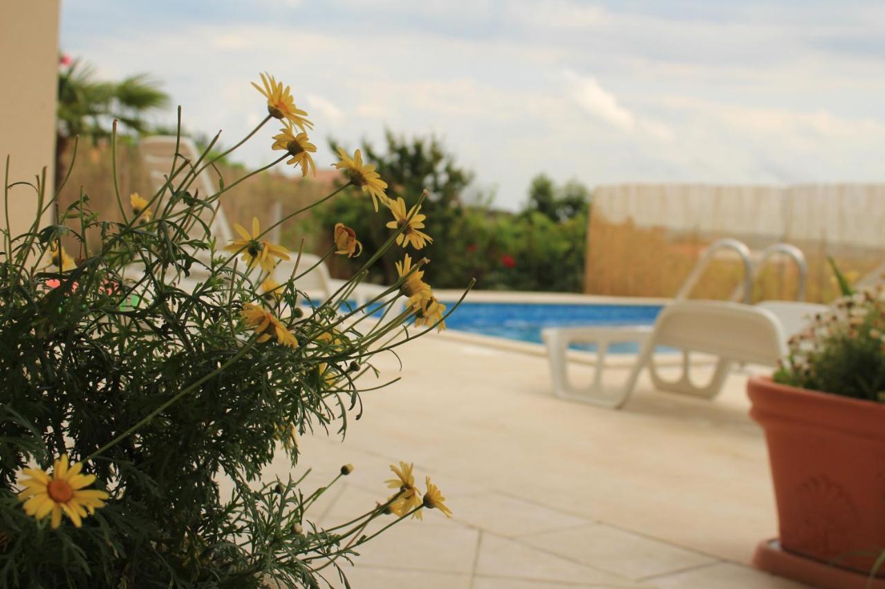 Apartman Robi Nova Vas  Exterior photo